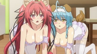 Assistir The Testament of Sister New Devil Temporada 2 Episódio 1 Online em HD