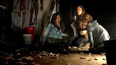 Assistir Falling Skies Temporada 2 Episódio 7 Online em HD