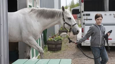 Assistir Heartland Temporada 6 Episódio 2 Online em HD