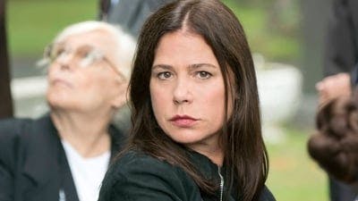 Assistir The Affair: Infidelidade Temporada 3 Episódio 1 Online em HD