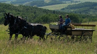 Assistir Heartland Temporada 8 Episódio 7 Online em HD