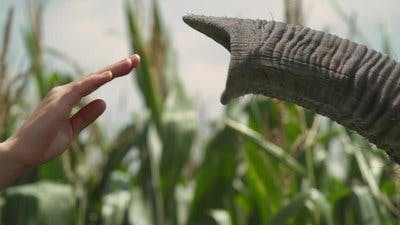 Assistir Endlings Temporada 1 Episódio 2 Online em HD