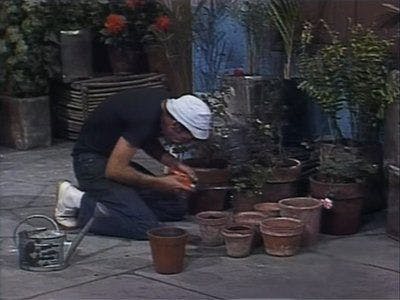Assistir Chaves Temporada 6 Episódio 9 Online em HD