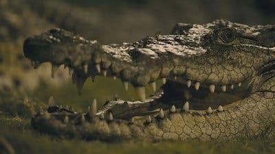 Assistir 007: Estrada para o Milhão Temporada 1 Episódio 6 Online em HD