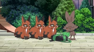 Assistir Pokémon Temporada 23 Episódio 4 Online em HD