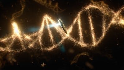 Assistir Cosmos Temporada 1 Episódio 2 Online em HD