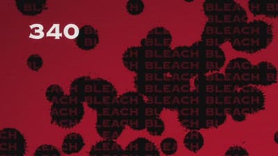 Assistir Bleach Temporada 1 Episódio 340 Online em HD