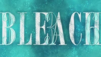 Assistir Bleach Temporada 1 Episódio 336 Online em HD