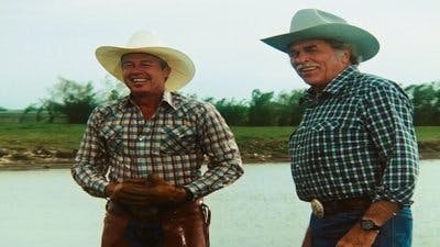 Assistir Dallas Temporada 11 Episódio 2 Online em HD