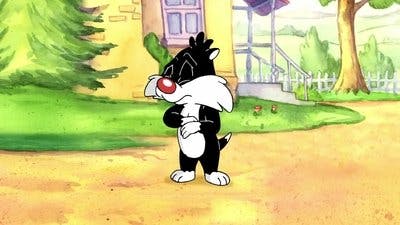 Assistir Baby Looney Tunes Temporada 1 Episódio 60 Online em HD