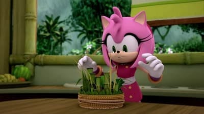 Assistir Sonic Boom Temporada 1 Episódio 47 Online em HD