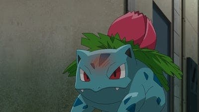 Assistir Pokémon Temporada 23 Episódio 3 Online em HD