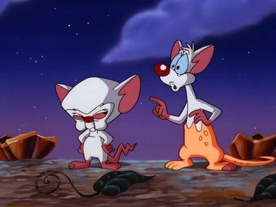 Assistir Pinky e o Cérebro Temporada 3 Episódio 25 Online em HD