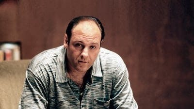 Assistir Família Soprano Temporada 1 Episódio 11 Online em HD