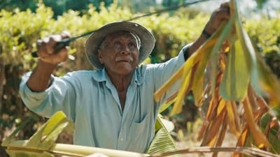 Assistir Como Viver até os 100: Os Segredos das Zonas Azuis Temporada 1 Episódio 3 Online em HD