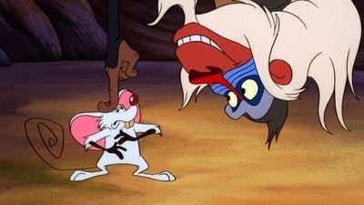 Assistir Timão e Pumba Temporada 1 Episódio 4 Online em HD