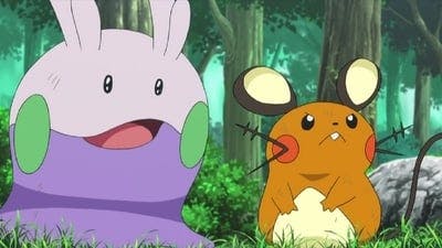 Assistir Pokémon Temporada 18 Episódio 8 Online em HD