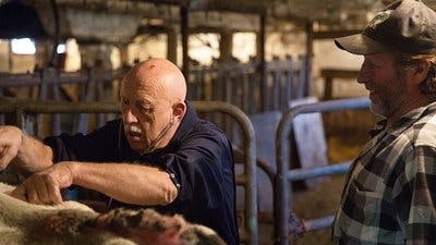 Assistir Clínica Animal com Dr. Pol Temporada 10 Episódio 2 Online em HD