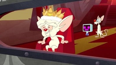 Assistir Animaniacs Temporada 2 Episódio 27 Online em HD