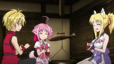 Assistir Dog Days Temporada 2 Episódio 11 Online em HD