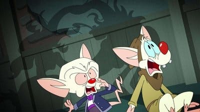 Assistir Animaniacs Temporada 1 Episódio 35 Online em HD