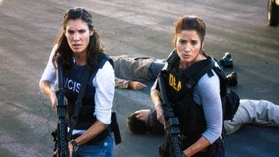 Assistir NCIS: Los Angeles Temporada 7 Episódio 8 Online em HD