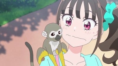 Assistir Wonderful Precure! Temporada 1 Episódio 32 Online em HD