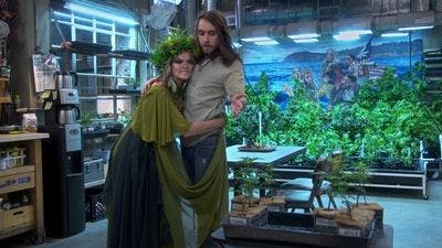 Assistir Disjointed Temporada 1 Episódio 12 Online em HD
