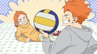 Assistir HAIKYU!! Temporada 4 Episódio 8 Online em HD