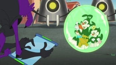Assistir Animaniacs Temporada 3 Episódio 33 Online em HD