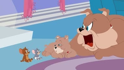 Assistir O Show de Tom e Jerry Temporada 1 Episódio 47 Online em HD