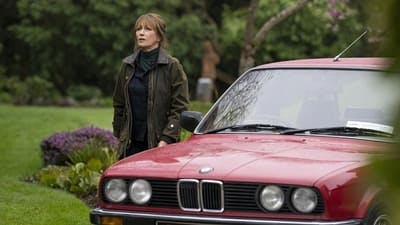 Assistir Harry Wild Temporada 3 Episódio 4 Online em HD