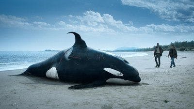 Assistir The Swarm Temporada 1 Episódio 1 Online em HD