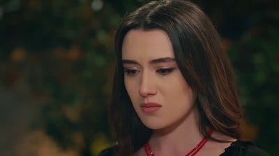 Assistir Winds of Love Temporada 2 Episódio 41 Online em HD
