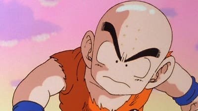 Assistir Dragon Ball Z Kai Temporada 1 Episódio 13 Online em HD