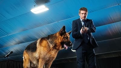 Assistir Hudson & Rex Temporada 3 Episódio 12 Online em HD