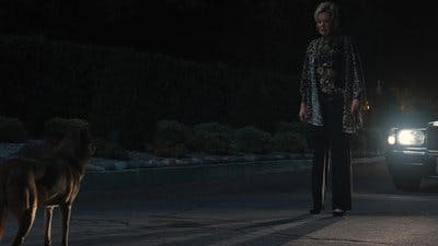 Assistir Medíocres Temporada 4 Episódio 2 Online em HD