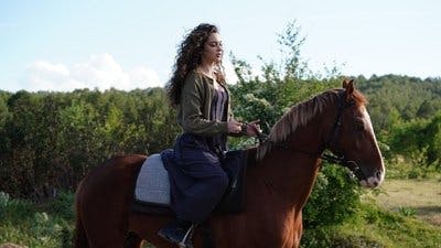 Assistir Um Conto de Uma Noite Temporada 1 Episódio 1 Online em HD