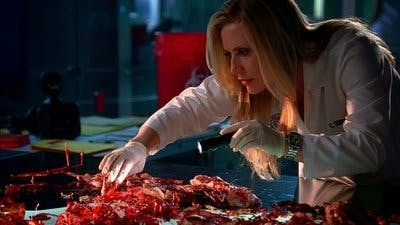 Assistir CSI: Miami Temporada 7 Episódio 21 Online em HD