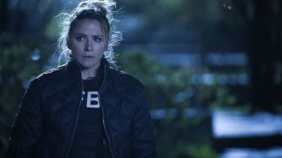 Assistir FBI Temporada 4 Episódio 21 Online em HD