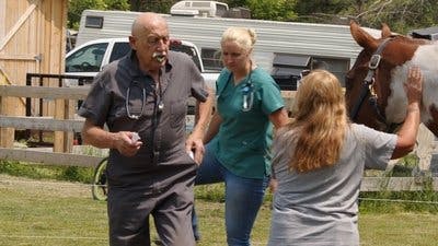 Assistir Clínica Animal com Dr. Pol Temporada 24 Episódio 2 Online em HD