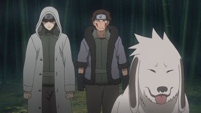 Assistir Naruto Shippuden Temporada 20 Episódio 498 Online em HD