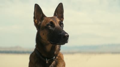Assistir Fallout Temporada 1 Episódio 7 Online em HD