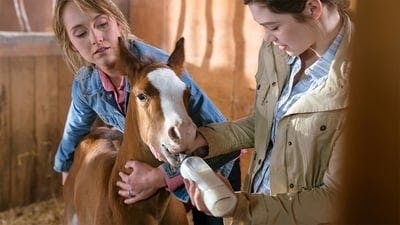 Assistir Heartland Temporada 10 Episódio 2 Online em HD