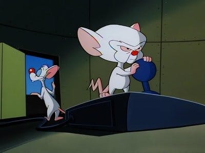 Assistir Pinky e o Cérebro Temporada 1 Episódio 16 Online em HD