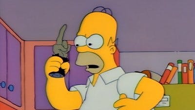 Assistir Os Simpsons Temporada 3 Episódio 7 Online em HD