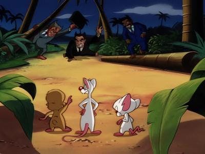 Assistir Pinky e o Cérebro Temporada 4 Episódio 3 Online em HD