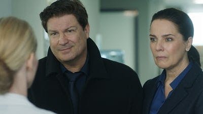 Assistir Spides Temporada 1 Episódio 1 Online em HD