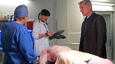 Assistir NCIS: Investigação Naval Temporada 9 Episódio 10 Online em HD