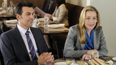 Assistir Covert Affairs: Assuntos Confidenciais Temporada 3 Episódio 5 Online em HD